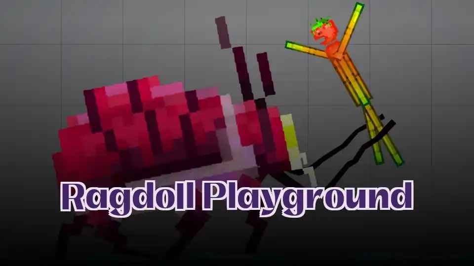 Ragdoll Playground
