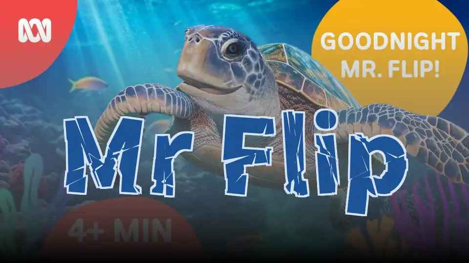 Mr Flip