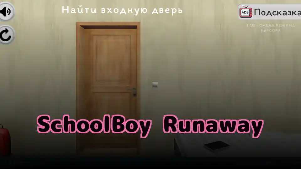 SchoolBoy Runaway