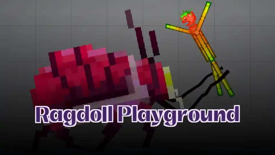 Ragdoll Playground